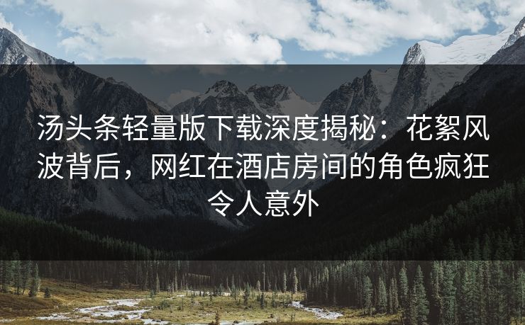 汤头条轻量版下载深度揭秘：花絮风波背后，网红在酒店房间的角色疯狂令人意外