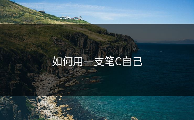 如何用一支笔C自己