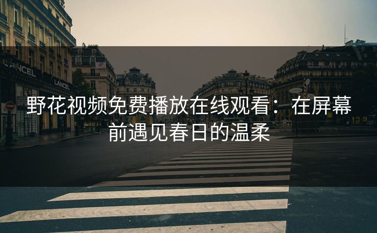 野花视频免费播放在线观看：在屏幕前遇见春日的温柔