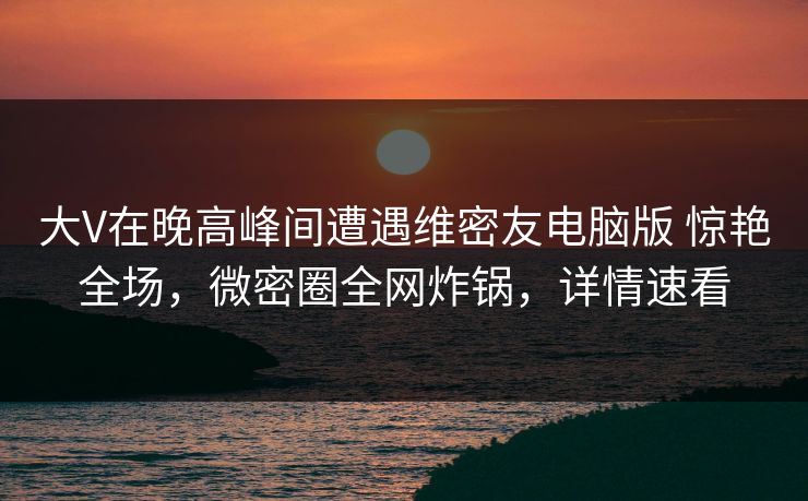大V在晚高峰间遭遇维密友电脑版 惊艳全场，微密圈全网炸锅，详情速看