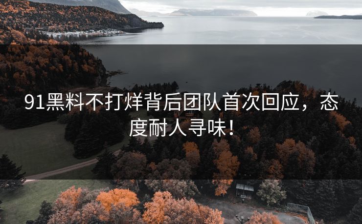91黑料不打烊背后团队首次回应，态度耐人寻味！