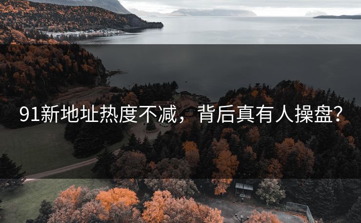 91新地址热度不减，背后真有人操盘？