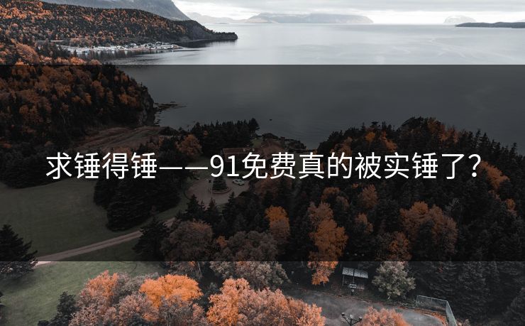 求锤得锤——91免费真的被实锤了？