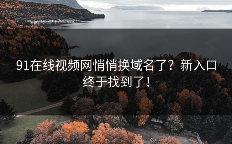 91在线视频网悄悄换域名了？新入口终于找到了！