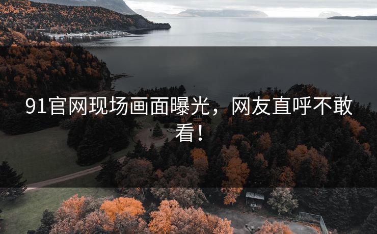 91官网现场画面曝光，网友直呼不敢看！