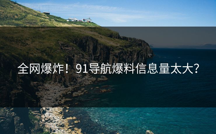 全网爆炸！91导航爆料信息量太大？