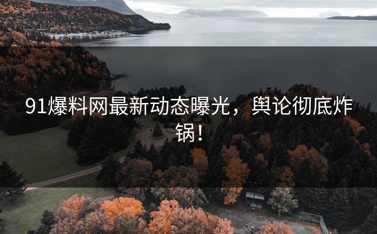 91爆料网最新动态曝光，舆论彻底炸锅！