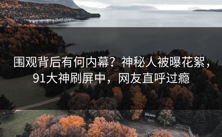 围观背后有何内幕？神秘人被曝花絮，91大神刷屏中，网友直呼过瘾